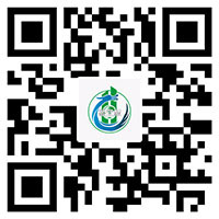 3724香港金算盘